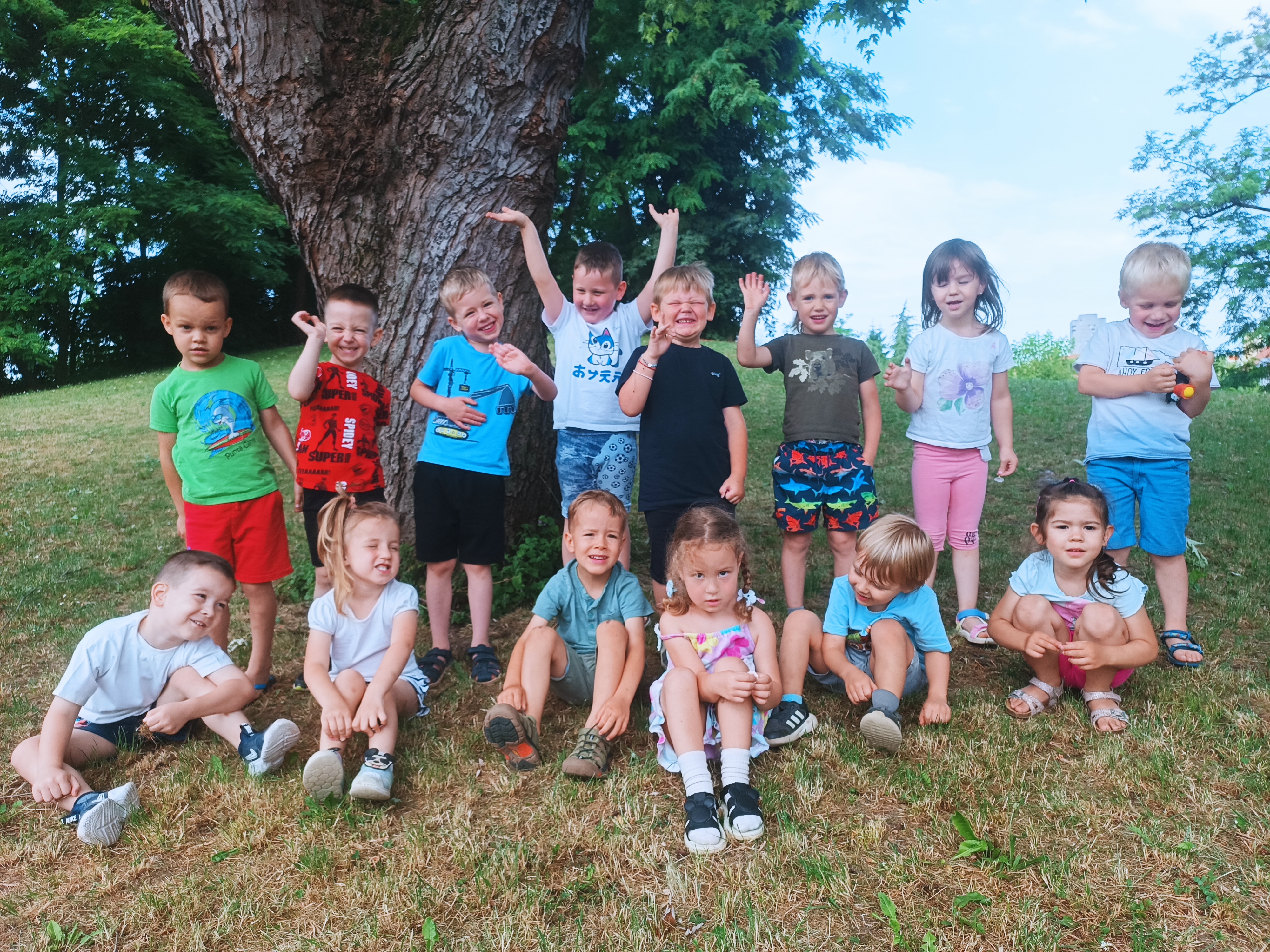 SONČNICE, KLOBUČKI, MIŠKE V JUNIJU 2025