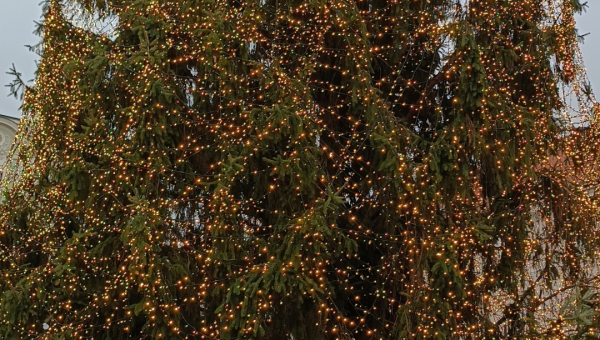 Lutkovno gledališče in praznična Ljubljana