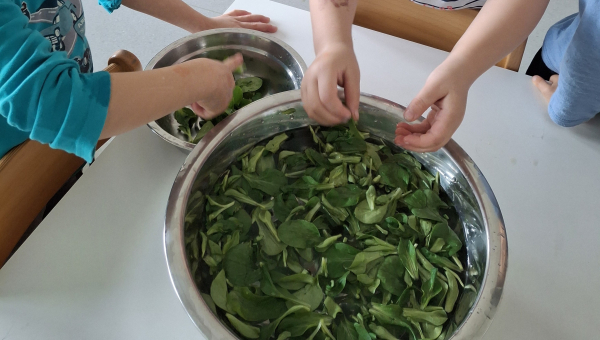 Od gredice do sklede