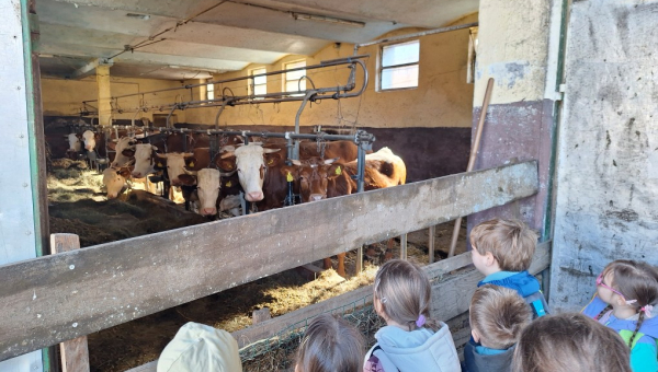 Na obisku kmetije Čerin v Savljah