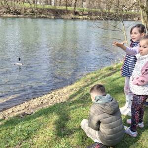 Immagine_Viber_2026-03-12_12-11-22-271_original