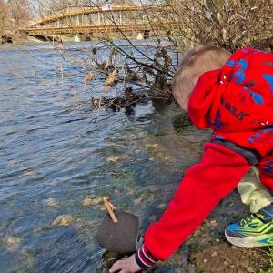 Immagine_Viber_2026-03-12_12-11-22-559_original