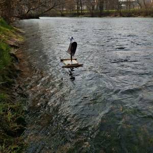 Immagine_Viber_2026-03-12_12-11-23-628_original