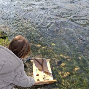 Immagine_Viber_2026-03-12_12-11-23-816_original