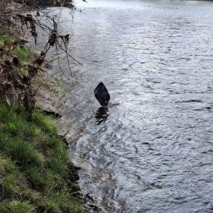 Immagine_Viber_2026-03-12_12-11-24-317_original