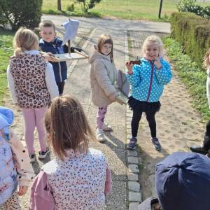 Immagine_Viber_2026-03-12_12-11-24-603_original