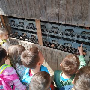 IMG_20260508_102845_original