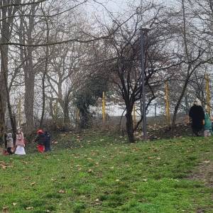 20260217_094527_original_copy_1