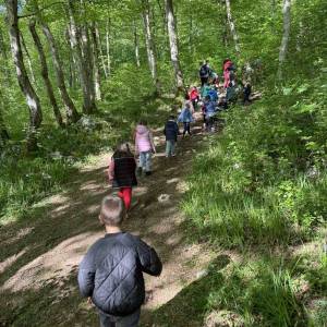 IMG-de8e5ef2349988de29d94d3421fb1b69-V_original_copy_1