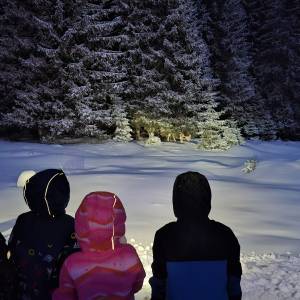 20260106_171019_original